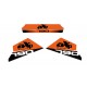 STICKERS AXP SABOT 790 orange